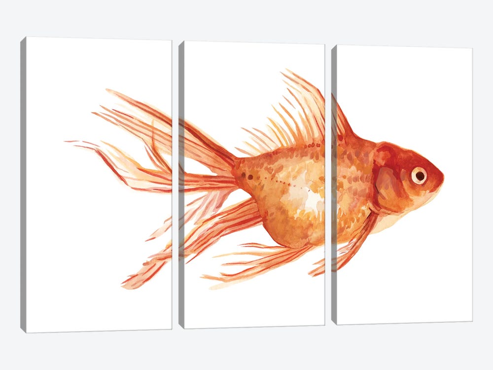 Ornamental Goldfish II by Emma Scarvey 3-piece Canvas Artwork