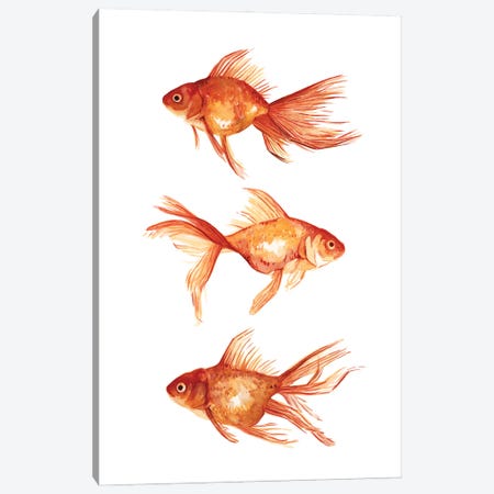 Ornamental Goldfish III Canvas Print #EMS162} by Emma Scarvey Canvas Print