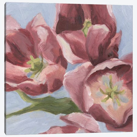 Mauve Tulips II Canvas Print #EMS16} by Emma Scarvey Canvas Art Print
