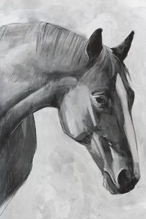 Cavallo I