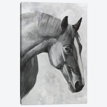 Cavallo I Canvas Print #EMS200} by Emma Scarvey Canvas Art