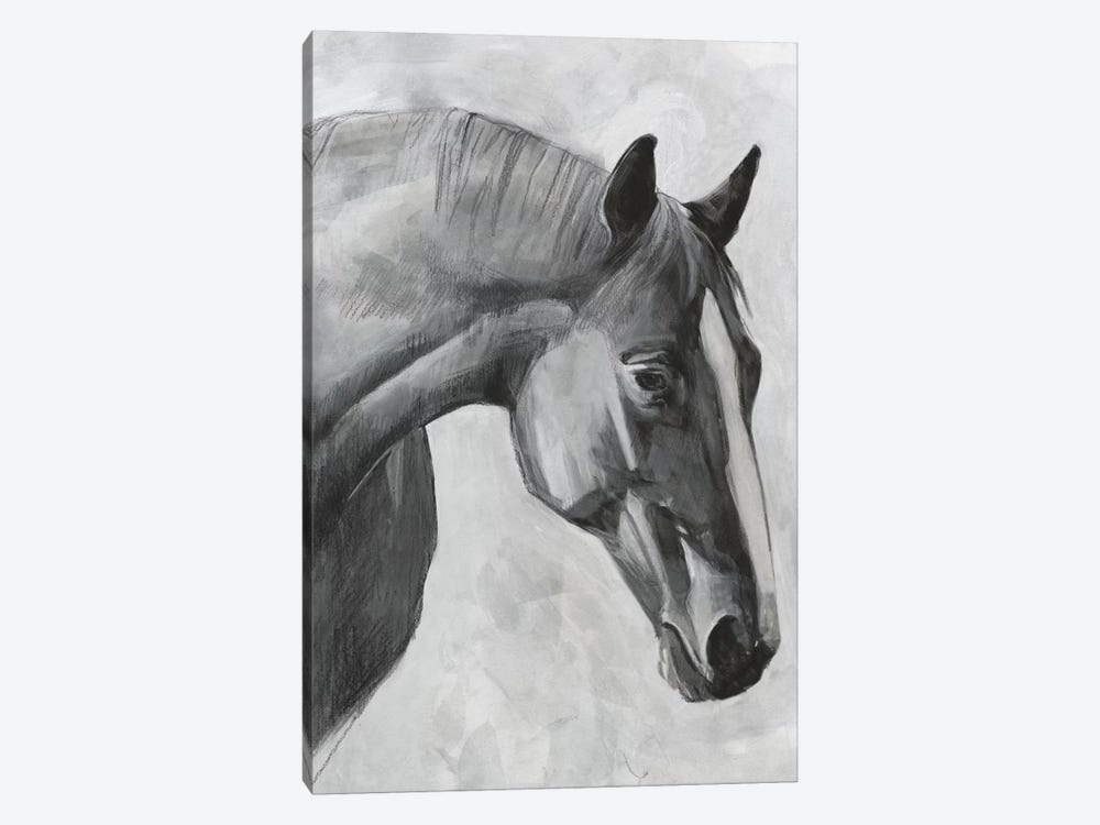 Cavallo I by Emma Scarvey 1-piece Canvas Art Print