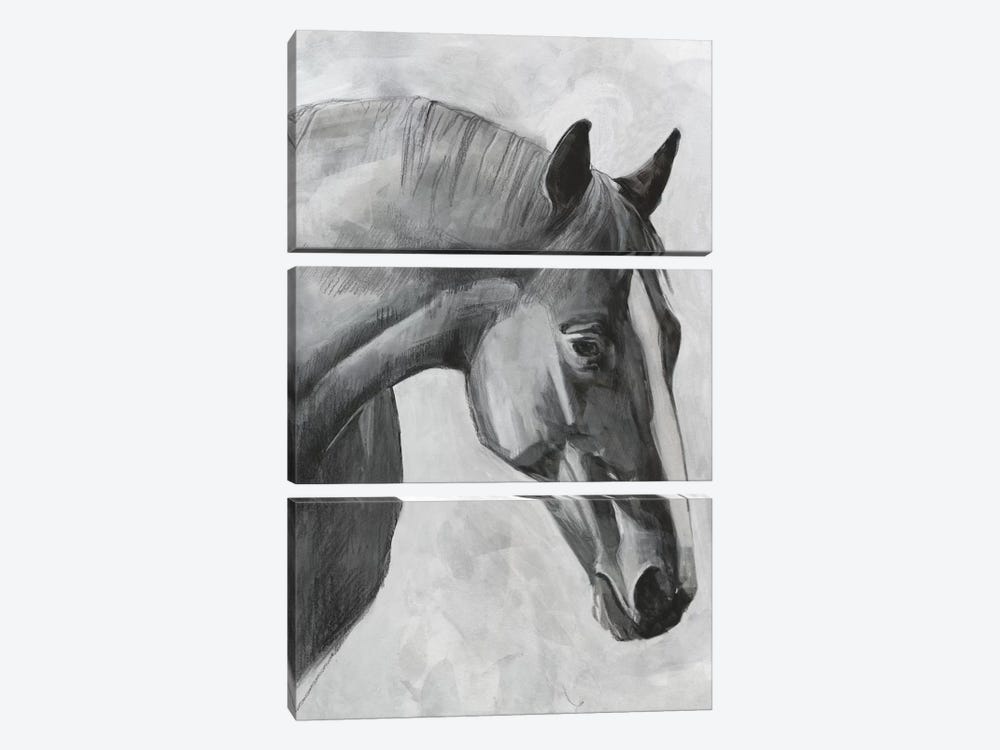 Cavallo I by Emma Scarvey 3-piece Canvas Print