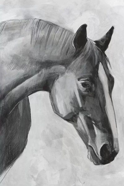 Cavallo I
