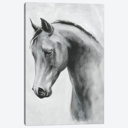 Cavallo II Canvas Print #EMS201} by Emma Scarvey Canvas Art