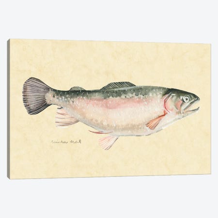 Catch of the Day III Canvas Print #EMS218} by Emma Scarvey Art Print