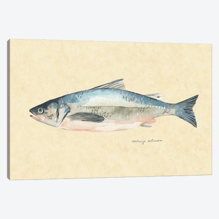 Catch of the Day IV Canvas Print #EMS219} by Emma Scarvey Art Print