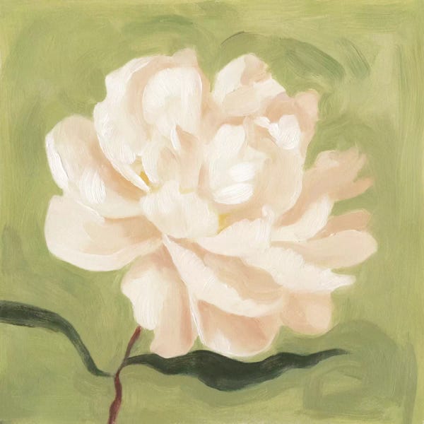 Flowers: Peony On Olive I by Emma Scarvey