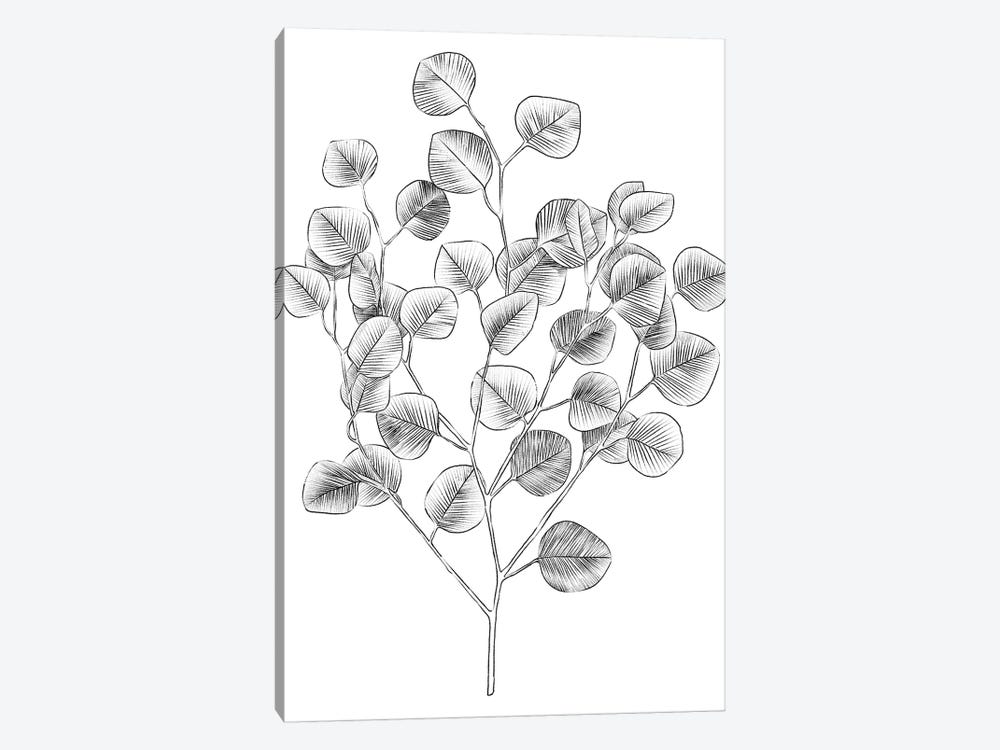 Eucalyptus Sketch I by Emma Scarvey 1-piece Canvas Print