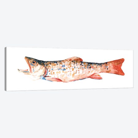 Freckled Trout I Canvas Print #EMS226} by Emma Scarvey Canvas Print