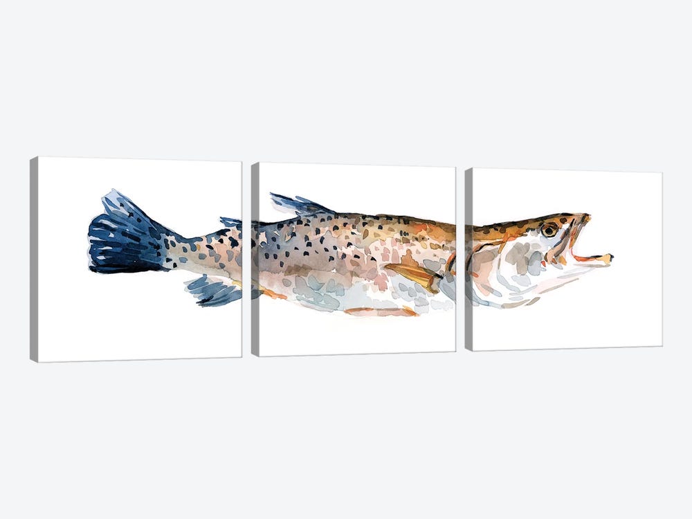 Freckled Trout II by Emma Scarvey 3-piece Canvas Art