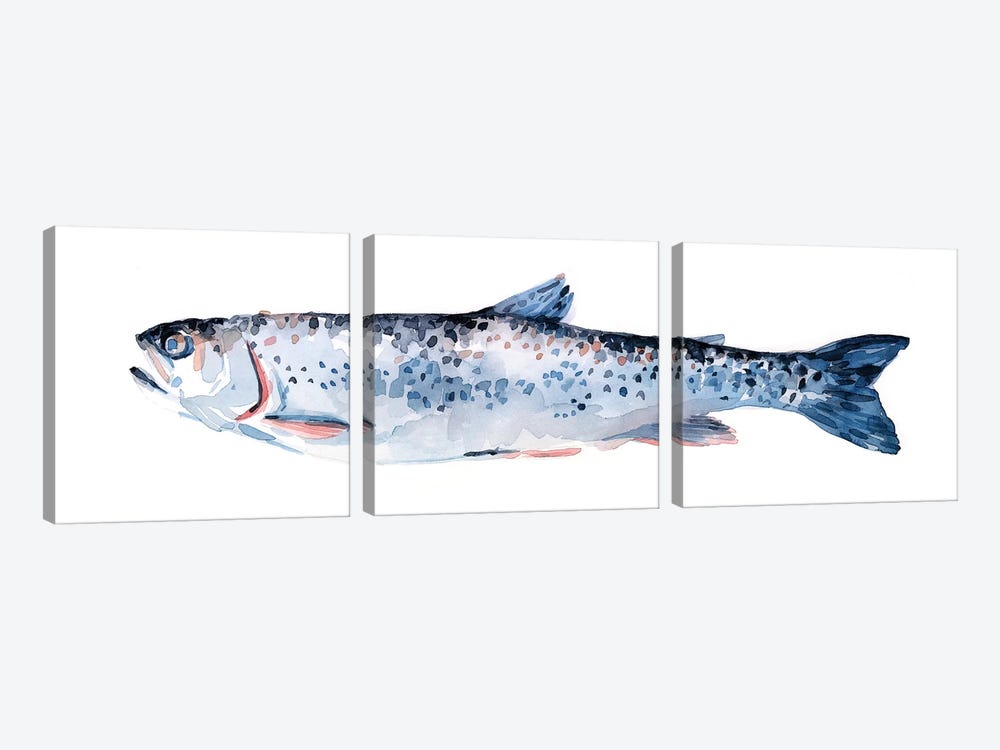 Freckled Trout III 3-piece Art Print