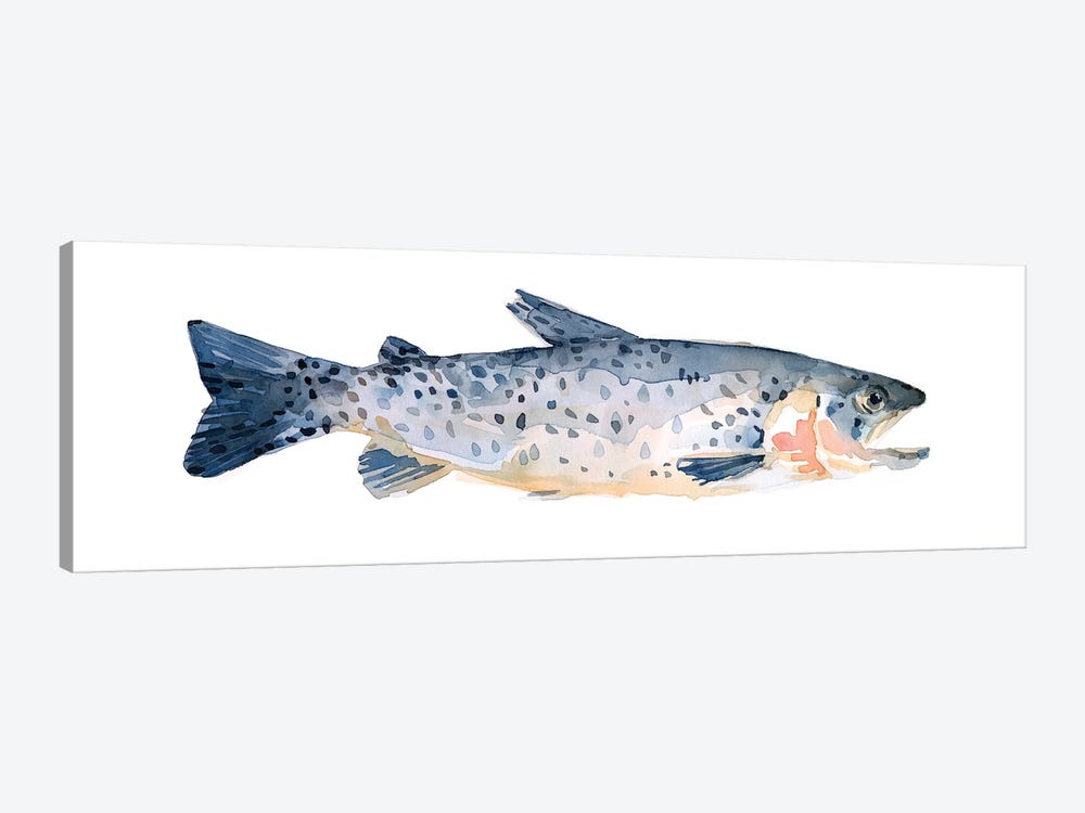Freckled Trout IV by Emma Scarvey 1-piece Canvas Art