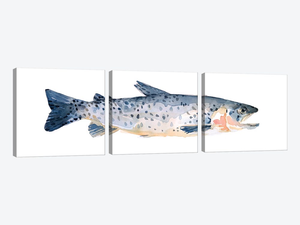 Freckled Trout IV by Emma Scarvey 3-piece Canvas Wall Art