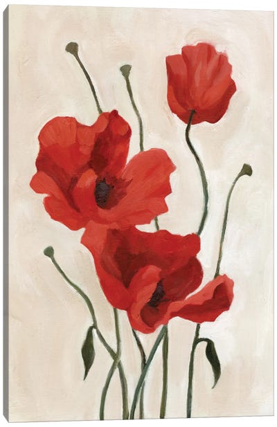 Poppy Bouquet II Canvas Art Print - Emma Scarvey