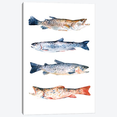 Stacked Trout I Canvas Print #EMS254} by Emma Scarvey Canvas Art