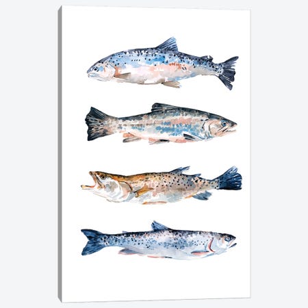 Stacked Trout II Canvas Print #EMS255} by Emma Scarvey Canvas Artwork