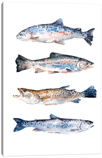 Stacked Trout II Canvas Art Print - Trout Art