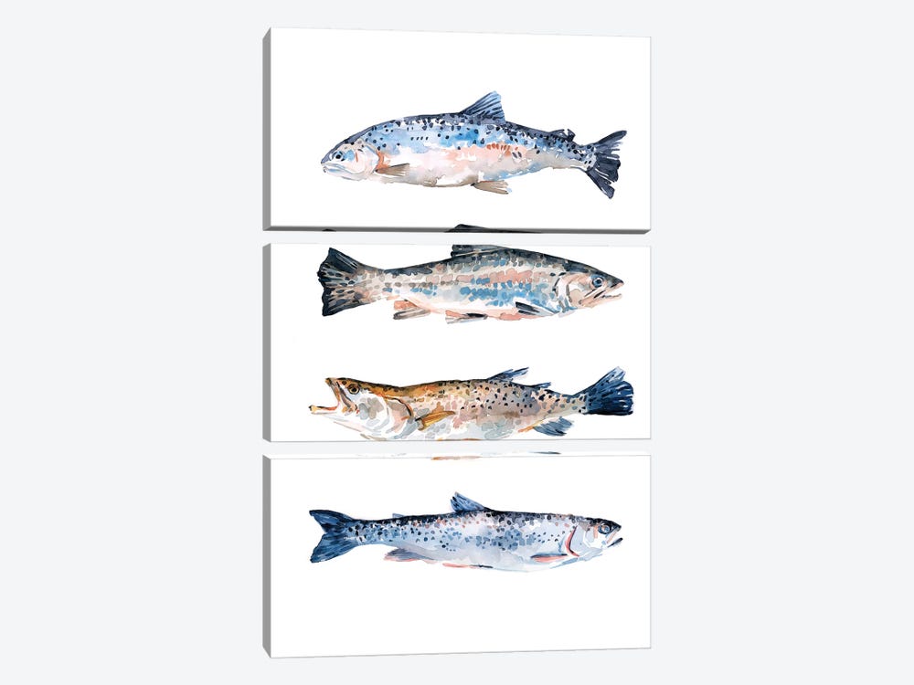 Stacked Trout II by Emma Scarvey 3-piece Canvas Art Print