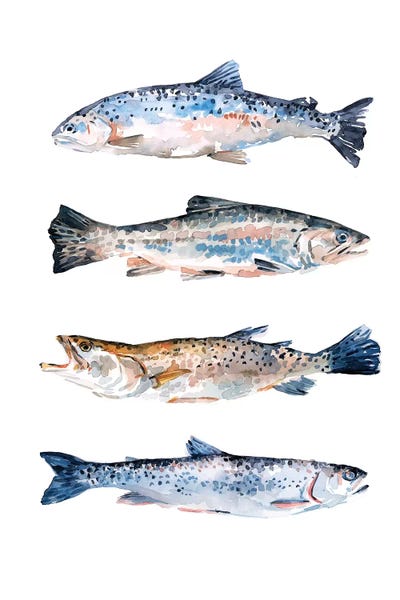 Kids Nautical Art: Stacked Trout II by Emma Scarvey