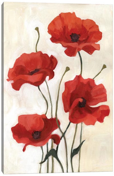 Poppy Bouquet III Canvas Art Print - Home Staging Living Room