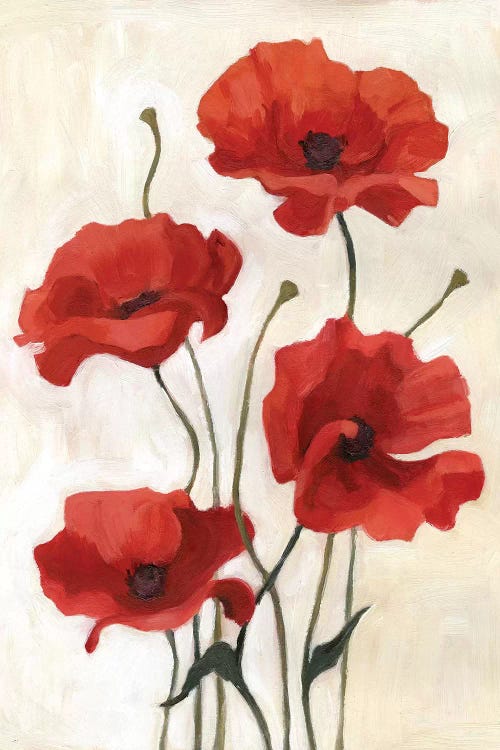 Poppy Bouquet III by Emma Scarvey wall art