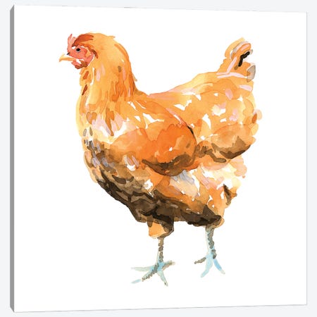 Wild Chicken II Canvas Print #EMS263} by Emma Scarvey Canvas Art