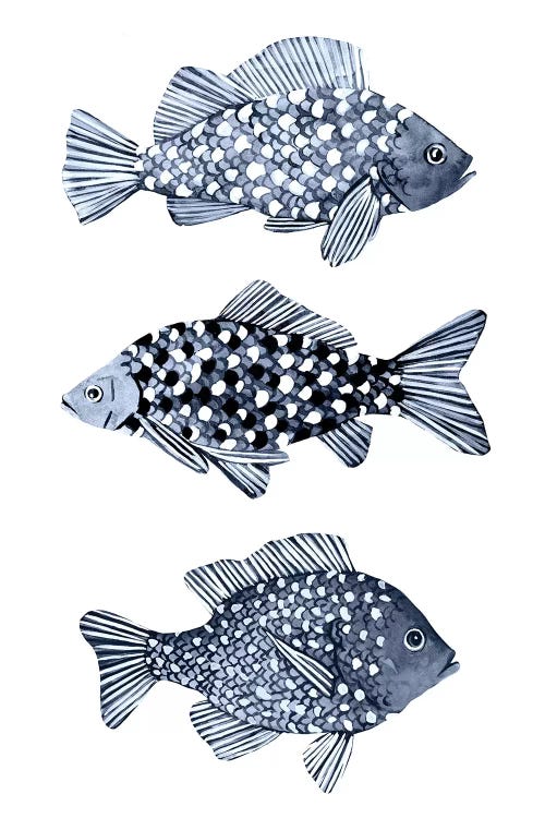 Blue Fish I by Emma Scarvey wall art