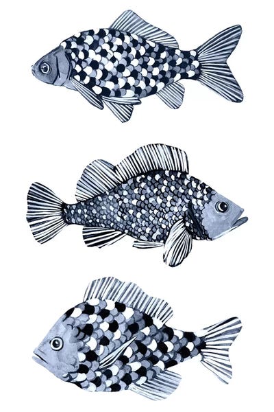 Blue Fish II by Emma Scarvey canvas print