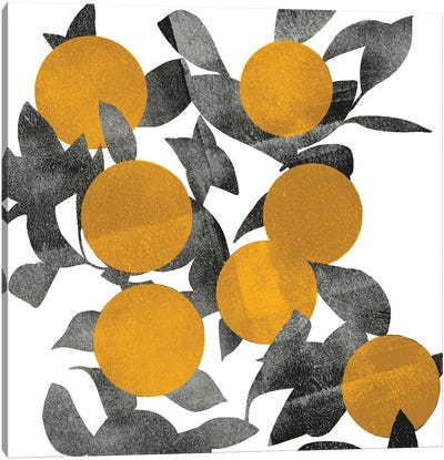 Shadow Branch I Canvas Art Print - Orange Art