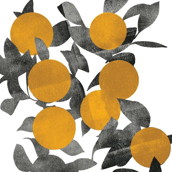 Oranges: Shadow Branch I by Emma Scarvey