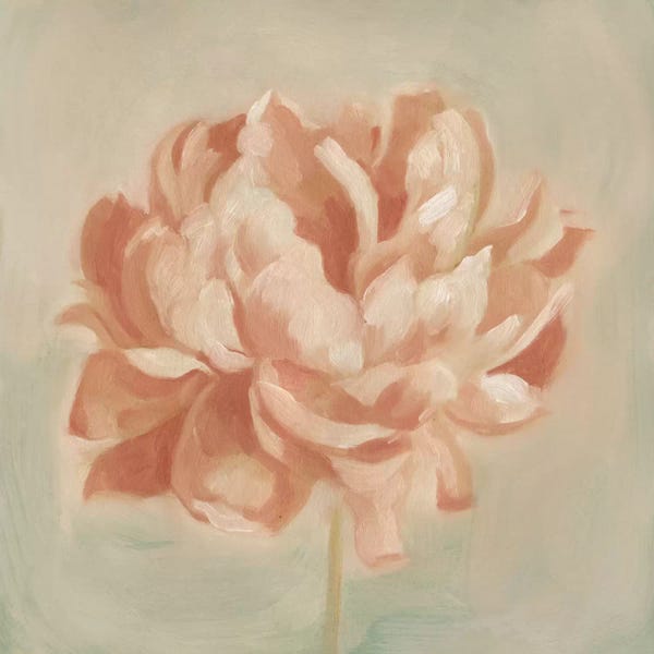 Peonies: Spring Peony II by Emma Scarvey