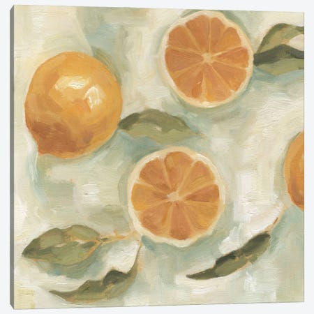 Citrus Study In Oil III Canvas Print #EMS3} by Emma Scarvey Canvas Artwork