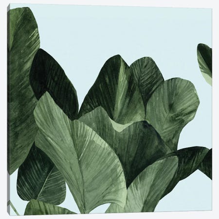 Celadon Palms I Canvas Print #EMS49} by Emma Scarvey Canvas Art Print