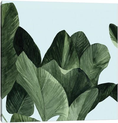 Celadon Palms I Canvas Art Print - Emma Scarvey