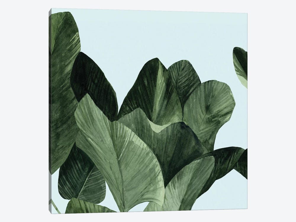 Celadon Palms I by Emma Scarvey 1-piece Canvas Art Print