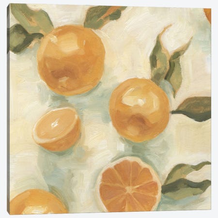 Citrus Study In Oil IV Canvas Print #EMS4} by Emma Scarvey Art Print