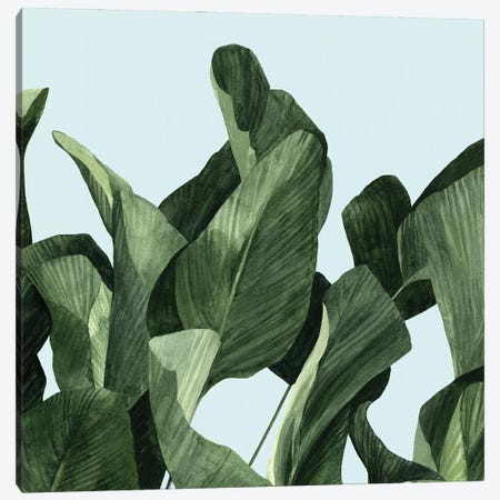 Celadon Palms II Canvas Print #EMS50} by Emma Scarvey Canvas Wall Art