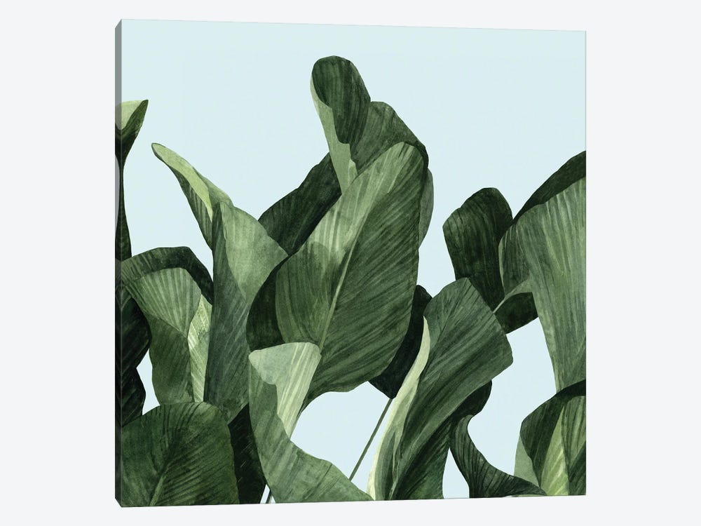 Celadon Palms II by Emma Scarvey 1-piece Canvas Print
