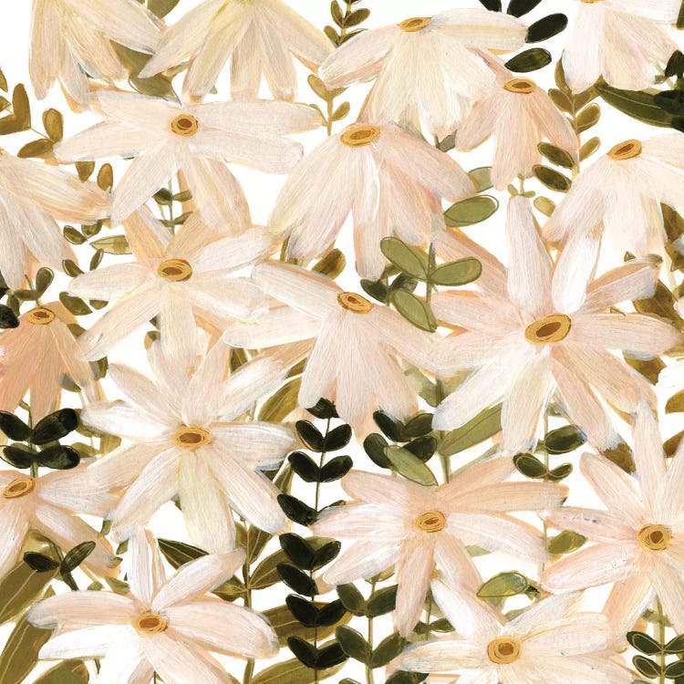 Daisy Field II