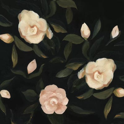 Evening Gardenias I by Emma Scarvey canvas print