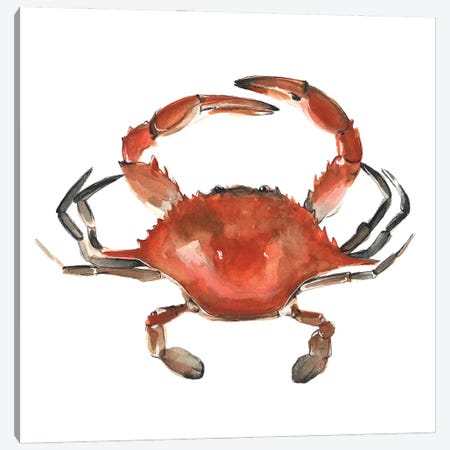 Watercolor Crab I Canvas Print #EMS90} by Emma Scarvey Canvas Artwork