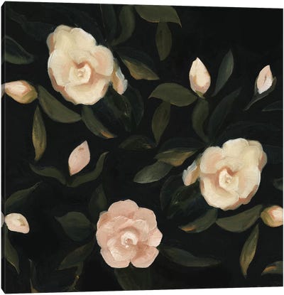 Evening Gardenias I Canvas Art Print - Emma Scarvey