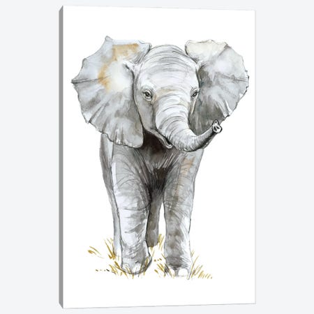 Baby Elephant Canvas Print #EMV1} by Elena Markelova Canvas Art Print