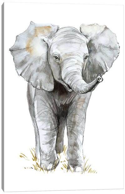 Baby Elephant Canvas Art Print