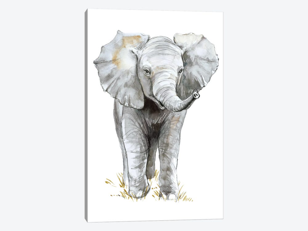 Baby Elephant by Elena Markelova 1-piece Canvas Print