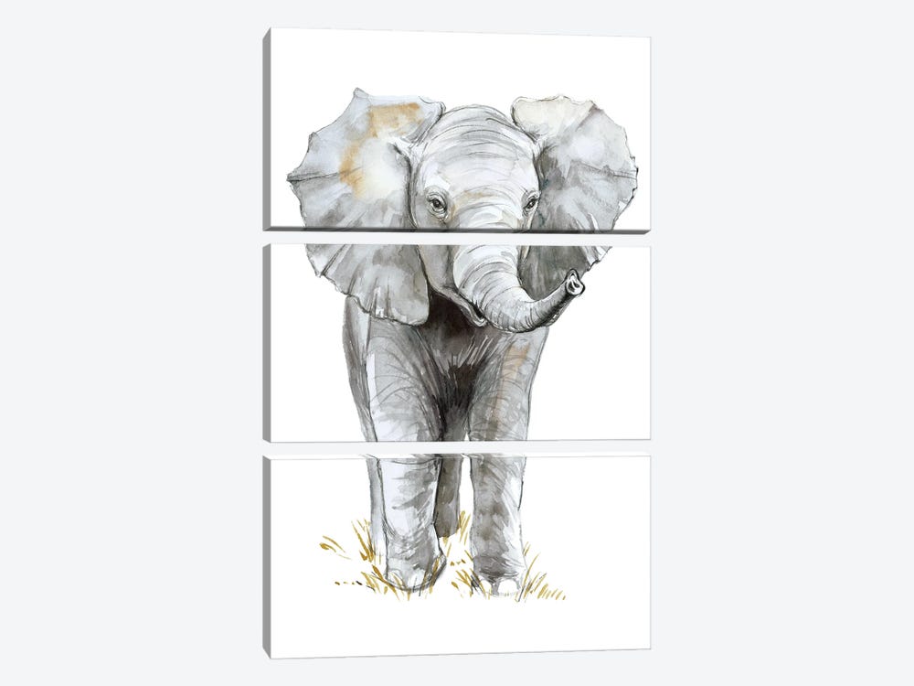 Baby Elephant by Elena Markelova 3-piece Art Print