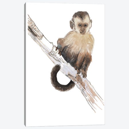 Baby Monkey Canvas Print #EMV3} by Elena Markelova Canvas Print