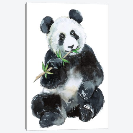 Baby Panda Canvas Print #EMV4} by Elena Markelova Canvas Wall Art