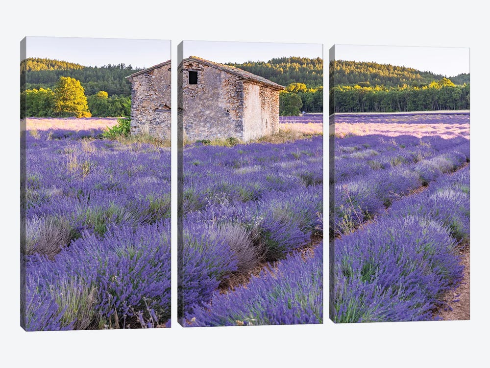 Saint-Christol, Vaucluse, Provence-Alpes-Cote D'Azur, France. Small Stone Building In A Lavender Field. by Emily M Wilson 3-piece Canvas Print